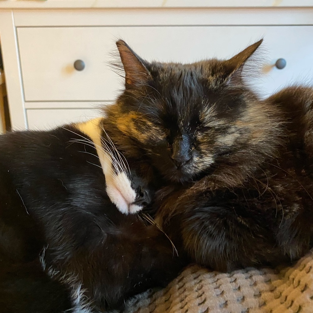 Meet your Posher, Pascua